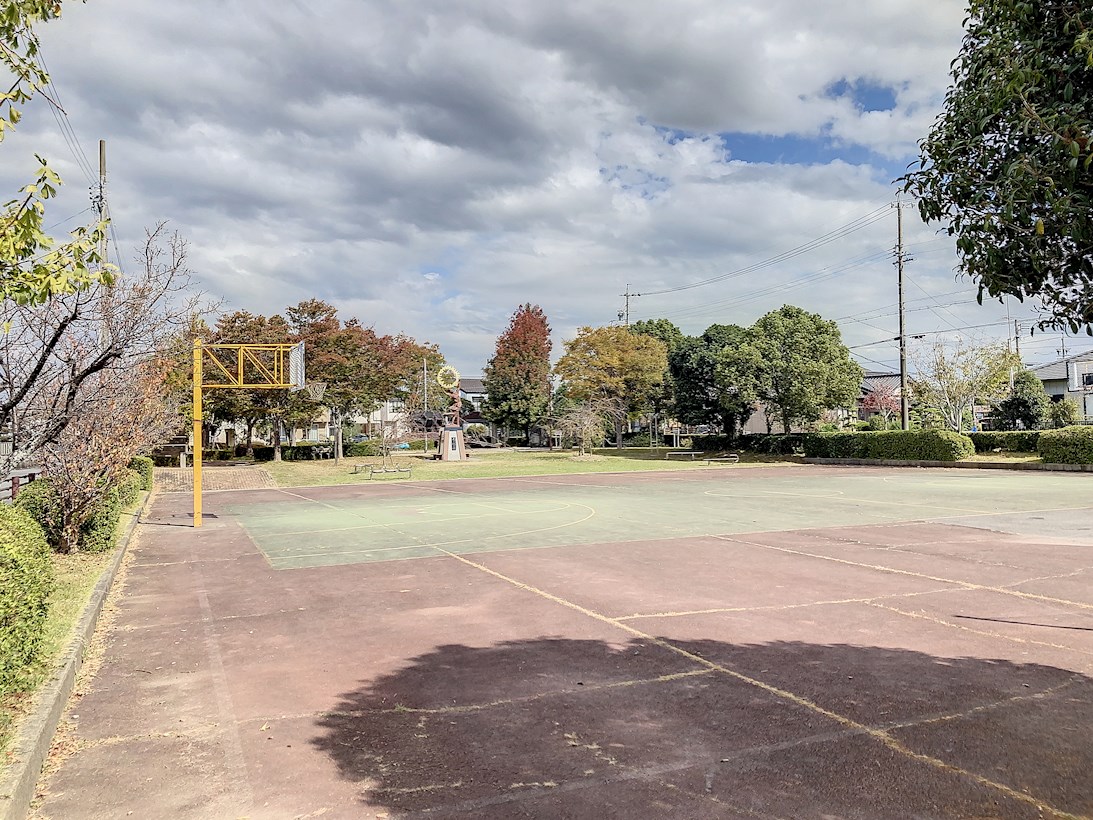 マックス　ビューティー　Ａ 周辺画像3