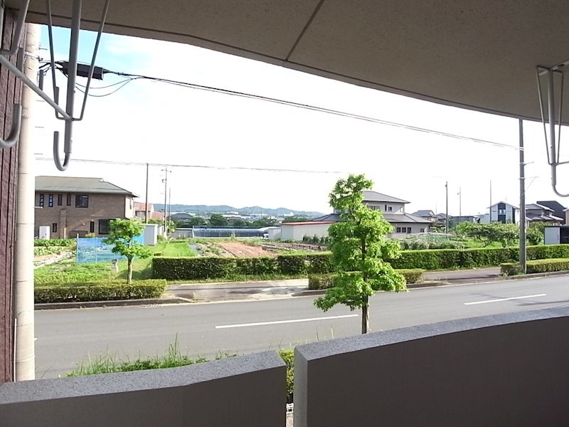 アイヴィ その他1