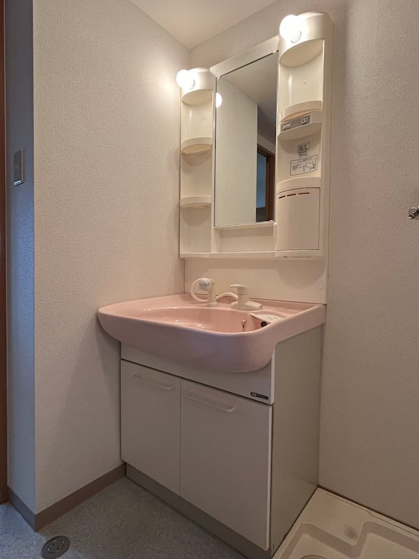 アイヴィ その他3