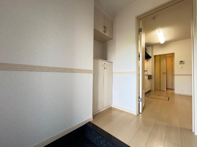 Ｐｅｔｉｔ ・Ｆｉｅｌｄ その他16