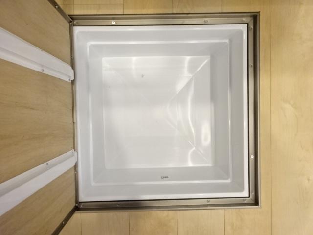 カメリア その他1