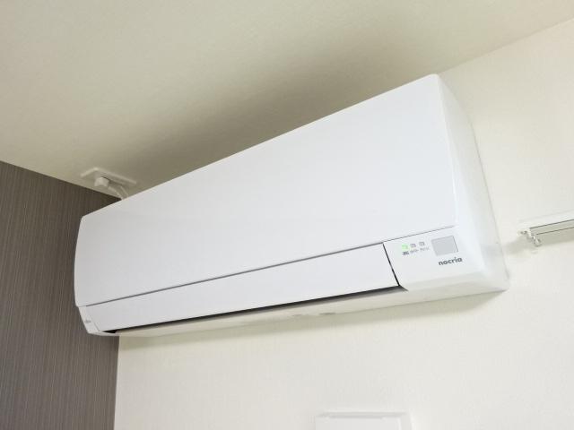 カメリア その他2