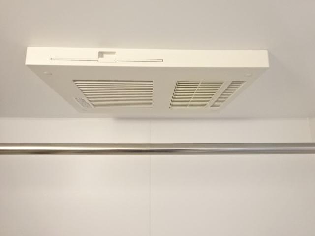 カメリア その他6