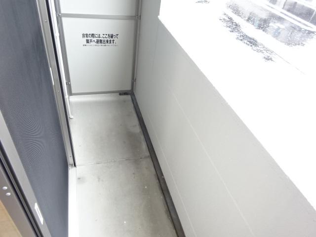 カメリア その他13