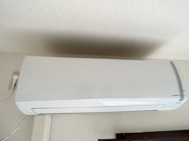 マスカット・S その他1