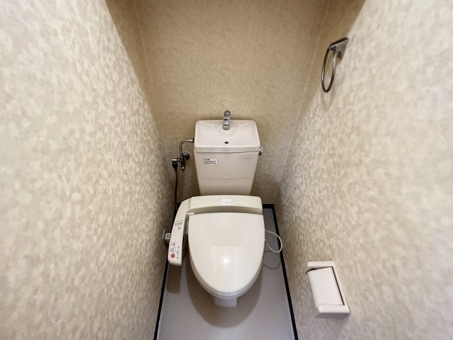 マスカット・S その他3