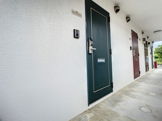 マスカット・S その他15