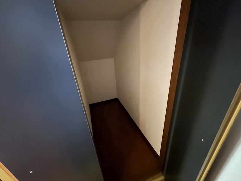 プリマヴェーラⅡ その他7