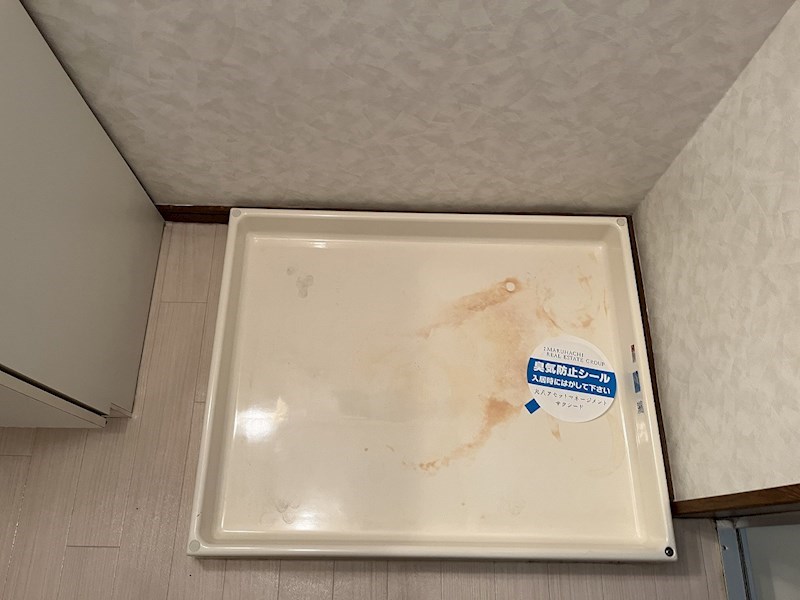 プリマヴェーラⅡ その他13