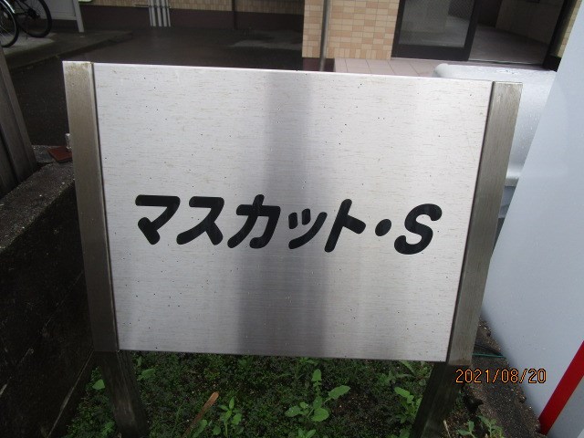マスカット・S その他