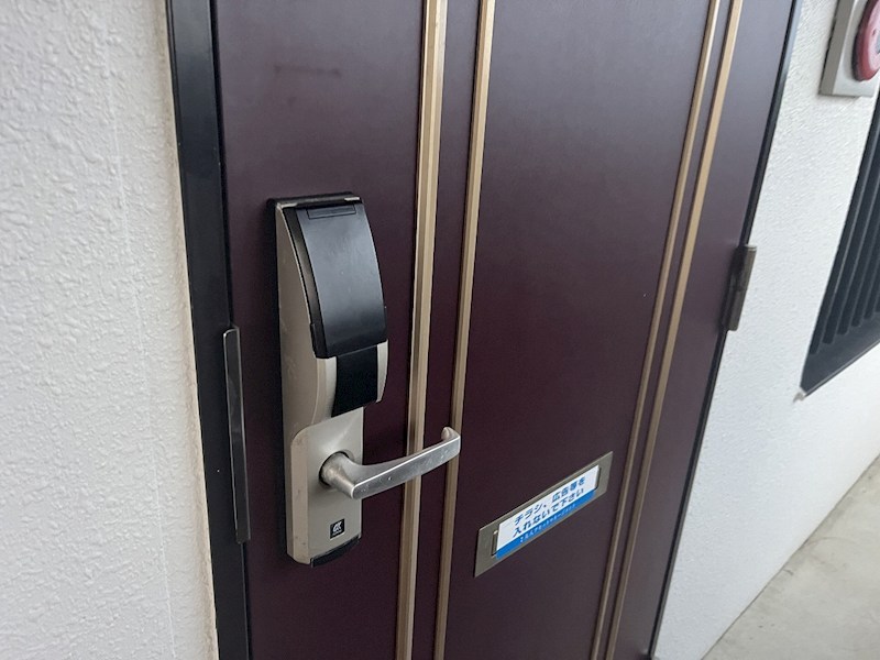 メゾンマスカット その他