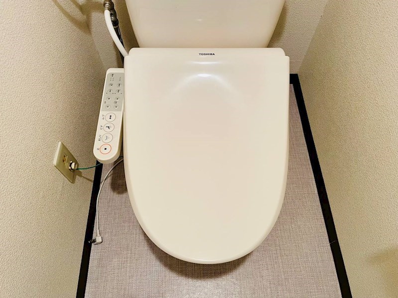 レイクビレッジⅢ トイレ