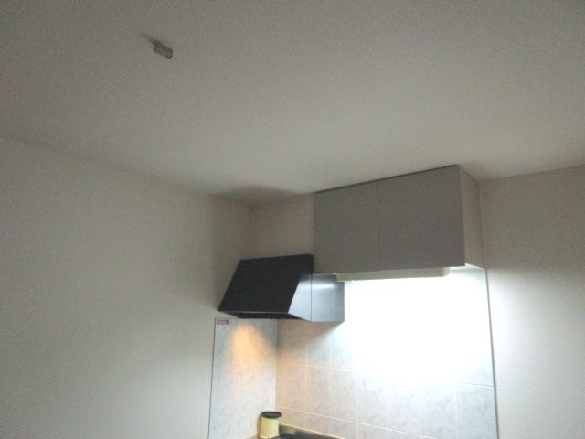 レイクビレッジⅢ その他