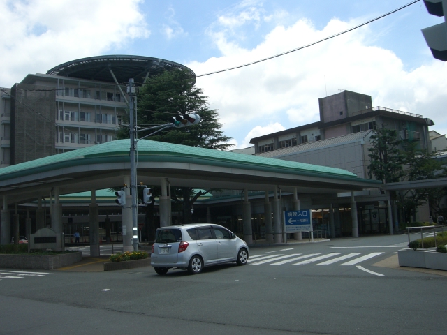 ハナミズキ 総合病院