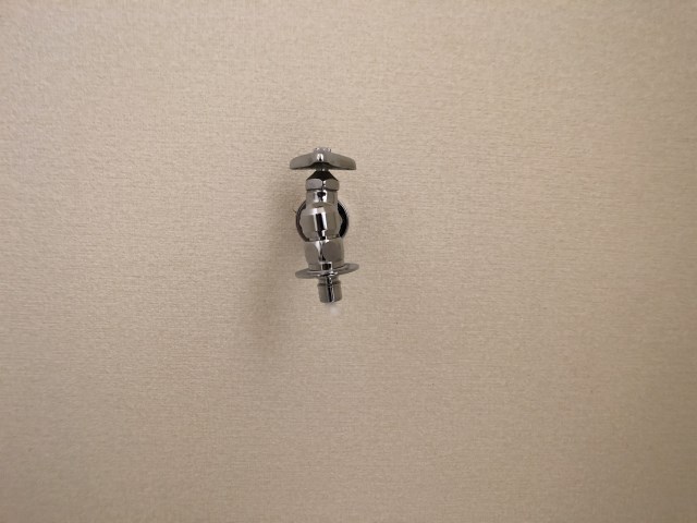 ラルフローレⅠ その他