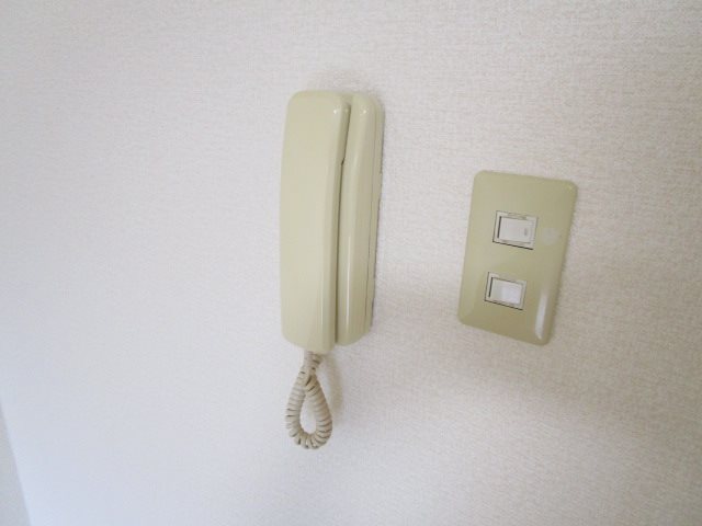 マスカット・S セキュリティ