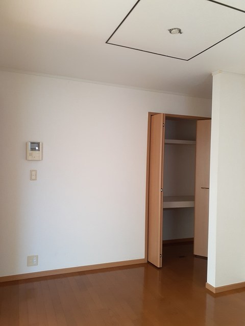 コンチェルト その他