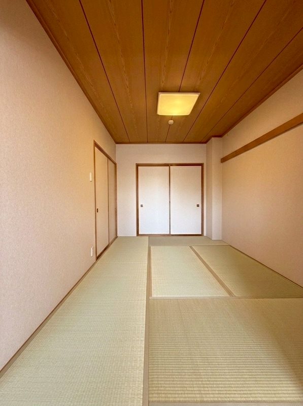 メゾン野口町(604) その他