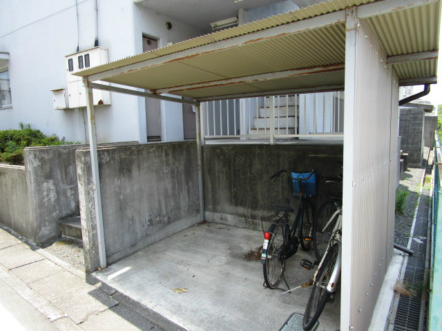 ライブ小島 その他