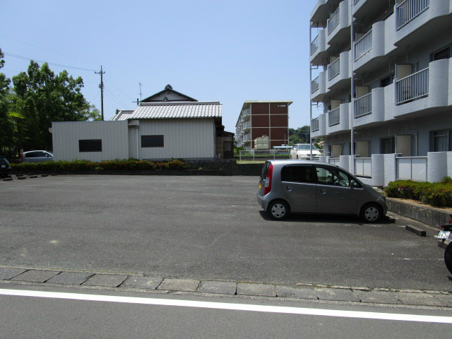 ライブ小島 その他
