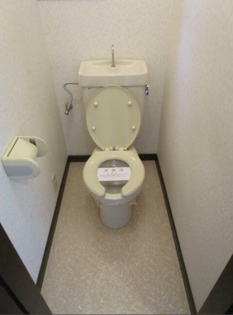 ハイツカトレア トイレ