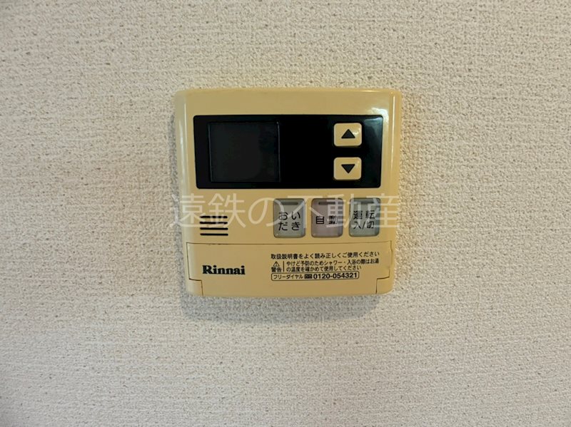 ウィング・イヌイ その他