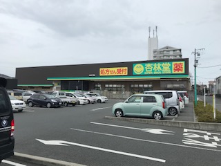 ラムール稲田 ドラッグストア