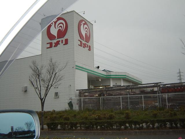 オリーブガーデン その他