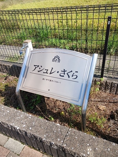 アシュレ・さくら その他
