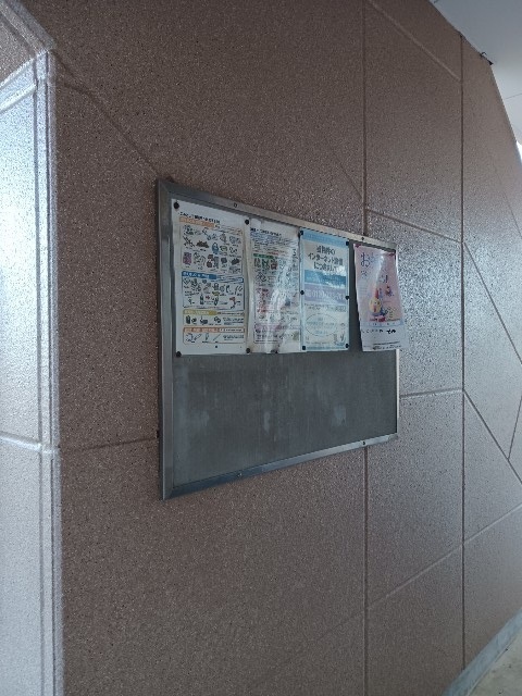 アシュレ・さくら その他