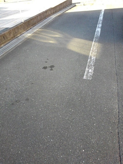 ドミール，センＡ 駐車場