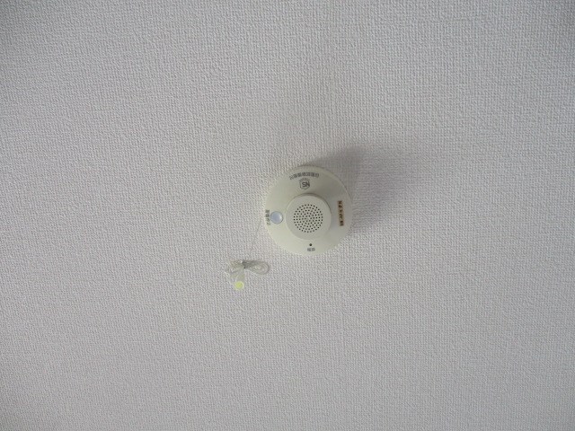 ウィルモア幸 その他