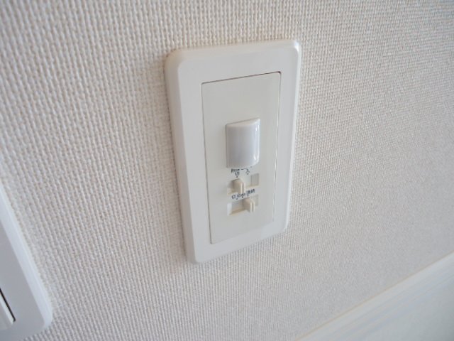 アメジスト その他