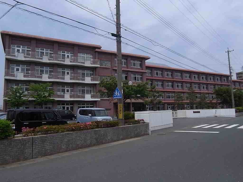 ハミングバード 小学校