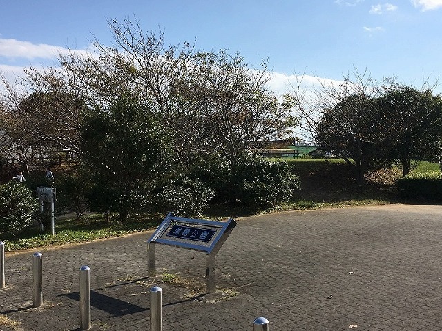 アルタコッリーナファイブ その他
