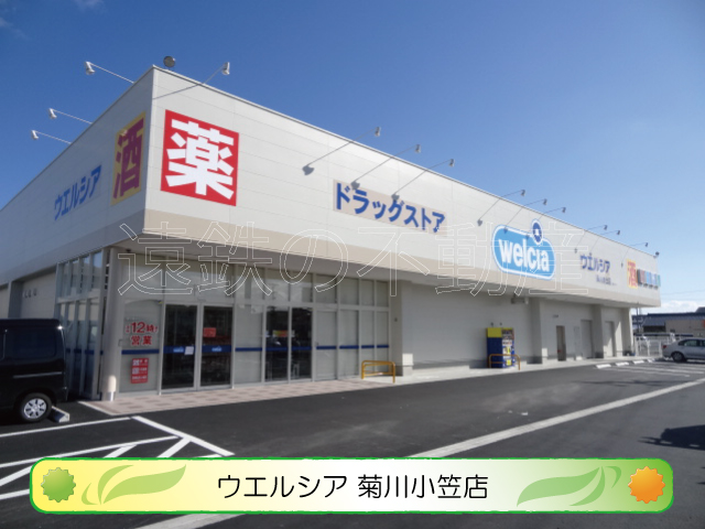 アンベリール ドラッグストア