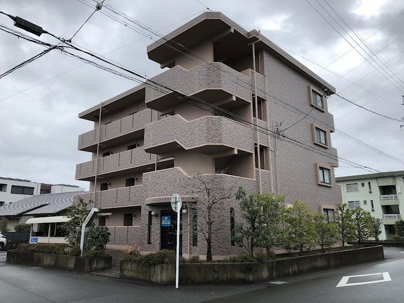 プロキオン その他