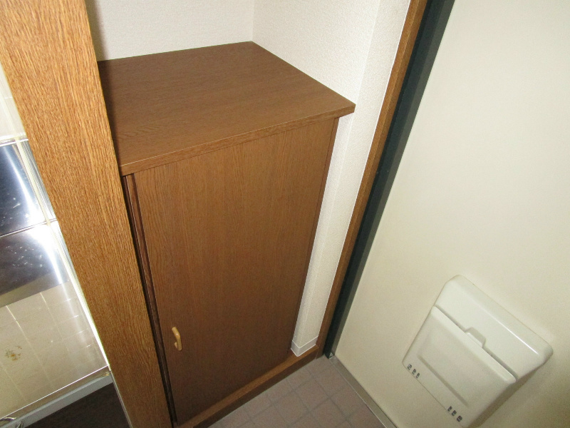 ブルースハープⅡ その他