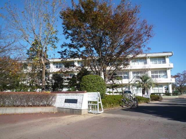 ミルキーＷＡＹ その他