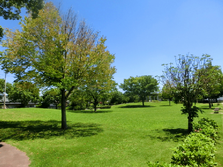 ミルキーＷＡＹ 公園