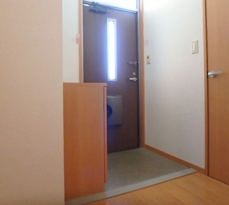 ドミール市野 玄関