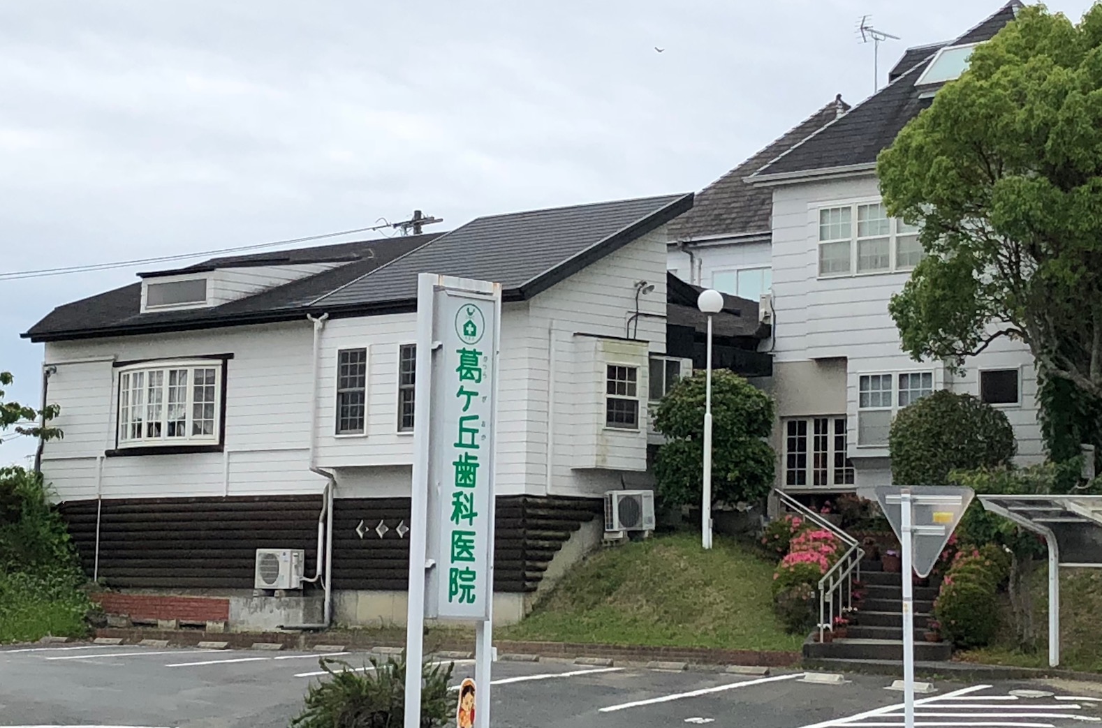 BM156（ビーエムイチゴーロク） 歯科
