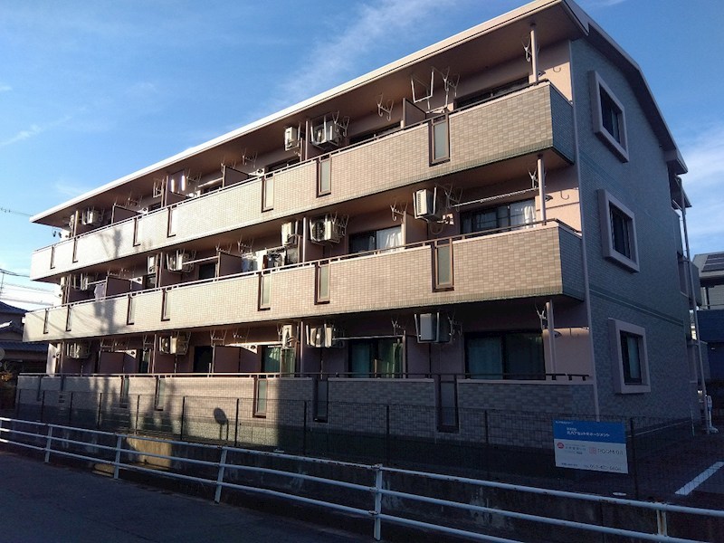 シャルミー その他