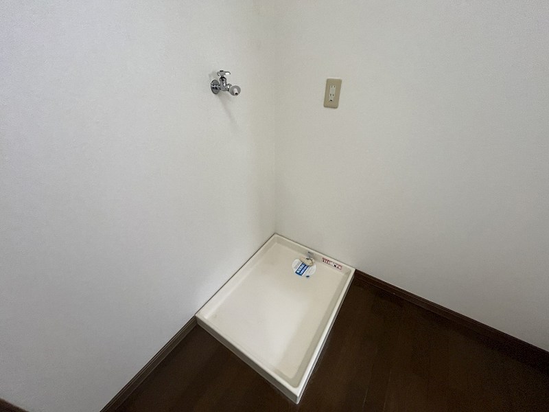 ライラック その他