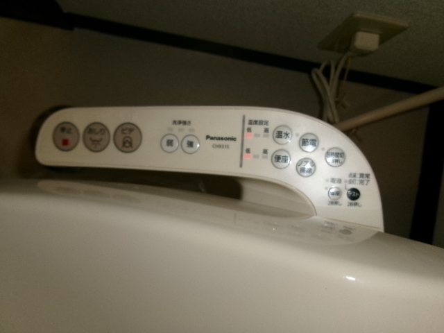 ステラ その他