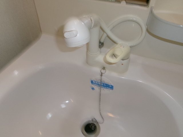ステラ その他