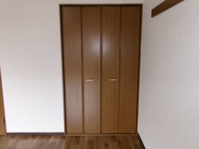 ステラ その他