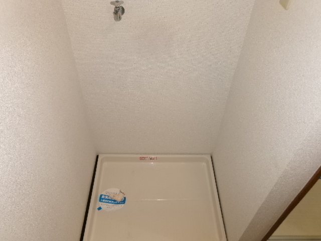 ステラ その他
