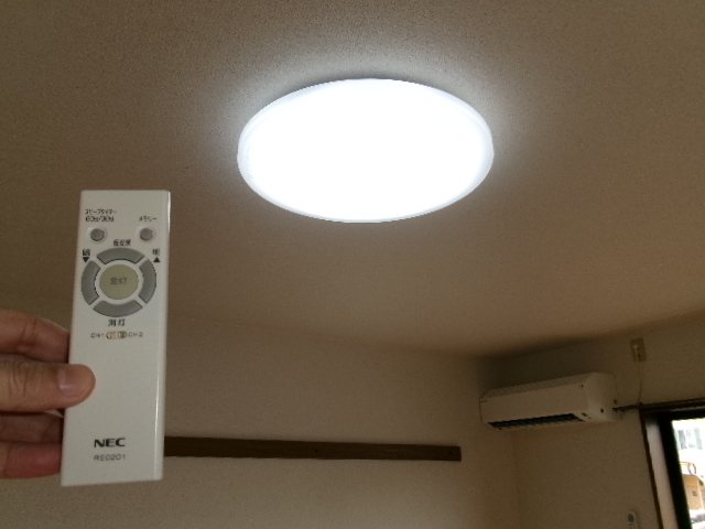 ステラ その他