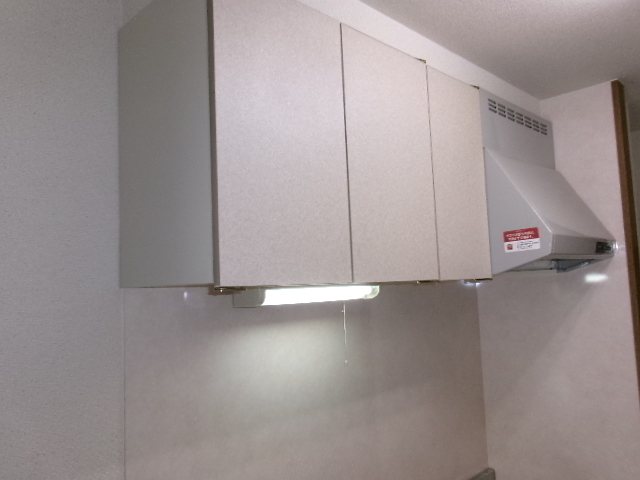 ステラ その他